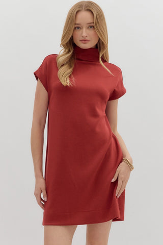 ENTRO Solid Jersey Mock Neck Pullover Mini Dress In Brick
