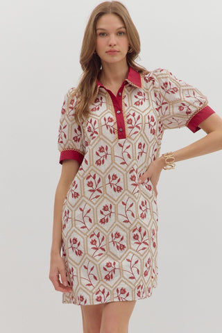 ENTRO Floral Embroidered Mini Dress In Brick