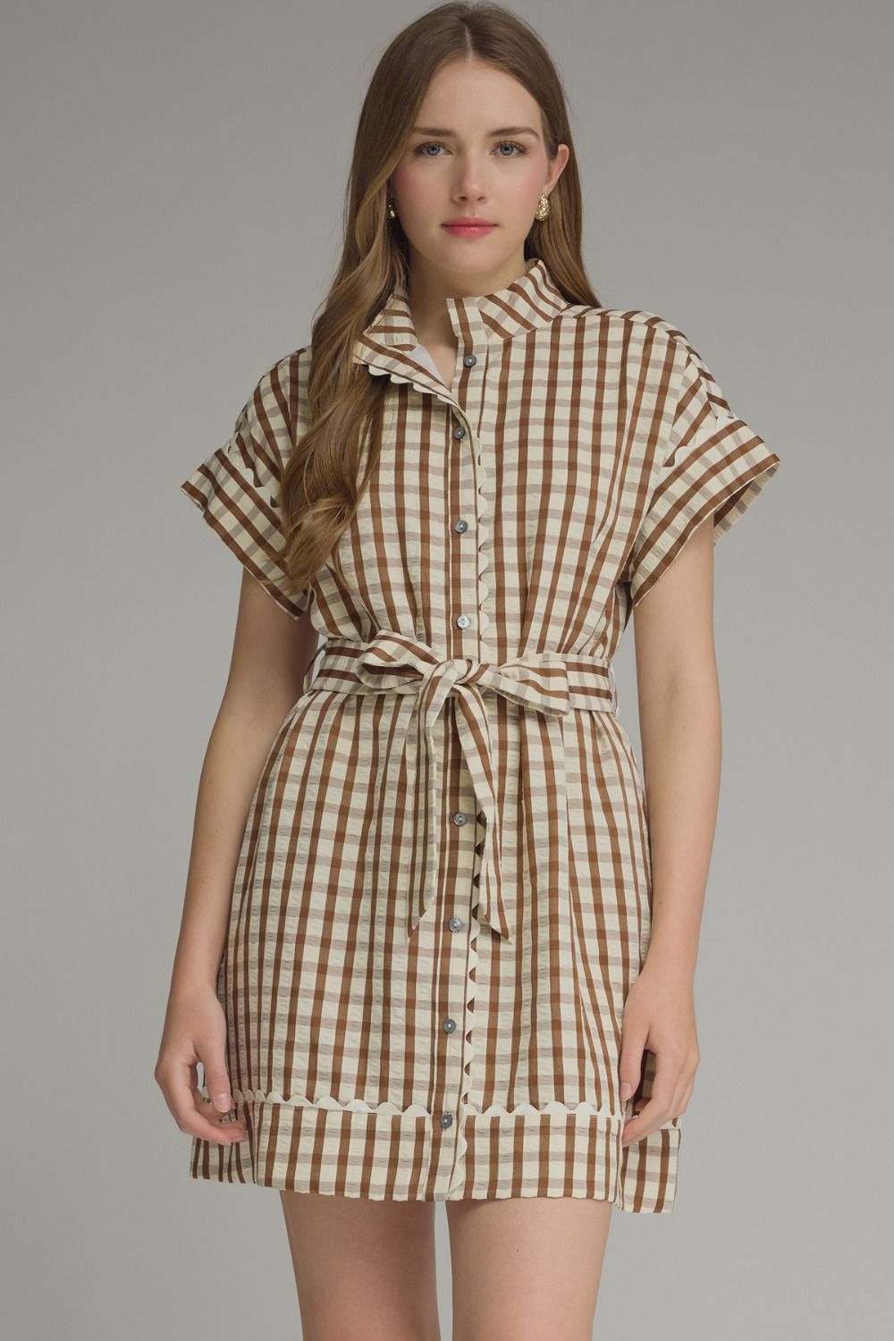 ENTRO Gingham Collared Short Sleeve Mini Dress In Brown