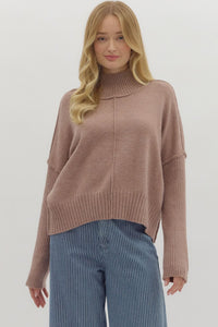 ENTRO Solid High Neck Long Sleeve Sweater In Mocha