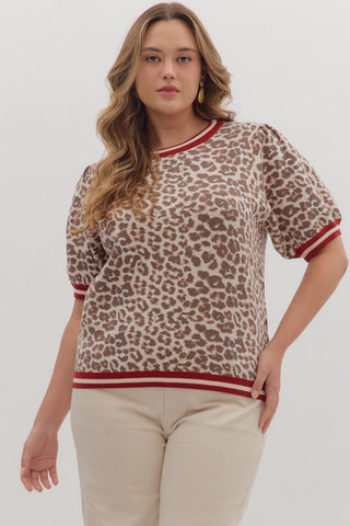 ENTRO Leopard Top With Accent Band In Ecru PLUS Sizes
