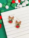 Prep Obsessed Earrings (Continued)